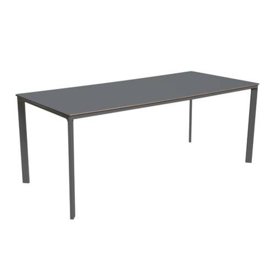 Camif Table Rectangulaire 200 X 90 Cm Meet En Aluminium Ezpeleta Wholesale